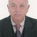 د. محمد علي الخولي