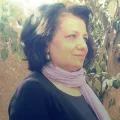 ميسلون هادي