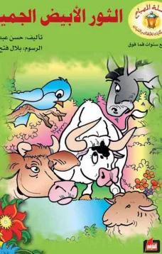 الثور الأبيض الجميل