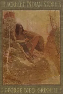 Blackfeet Indian Stories