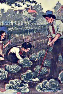 Daddy Takes Us to the Garden
The Daddy Series for Little Folks