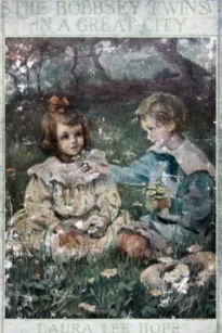 The Bobbsey Twins in a Great City