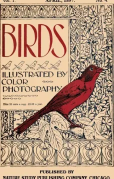 Birds, Illustrated by Color Photography, Vol. 1, No. 4
April, 1897