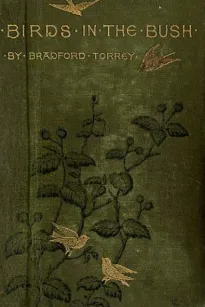 Birds in the Bush