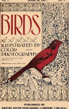 Birds, Illustrated by Color Photography, Vol. 1, No. 3
March 1897