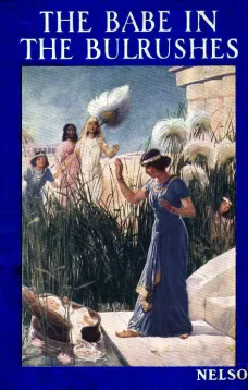 The Babe in the Bulrushes
