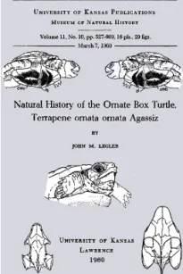 Natural History of the Ornate Box Turtle, Terrapene ornata ornata Agassiz