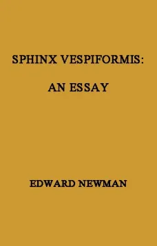 Sphinx Vespiformis
An Essay