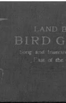 Bird Guide: Land Birds East of the Rockies
From Parrots to Bluebirds