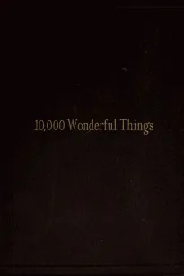 Ten Thousand Wonderful Things