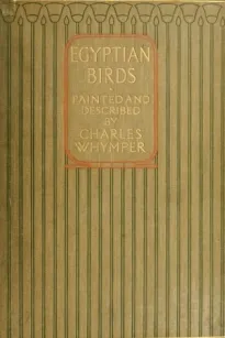 Egyptian Birds
For the most part seen in the Nile Valley