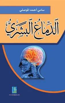 الدماغ البشري