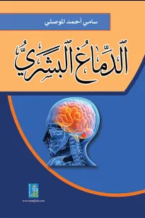 الدماغ البشري