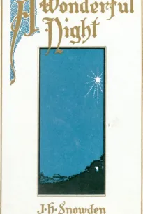 A Wonderful Night; An Interpretation Of Christmas