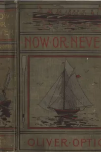 Now or Never; Or, The Adventures of Bobby Bright