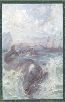 Fighting the Whales