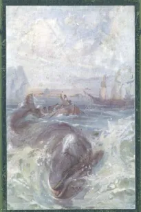 Fighting the Whales