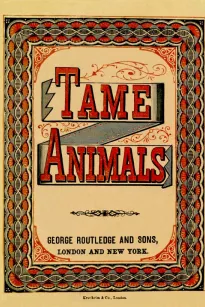 Tame Animals
