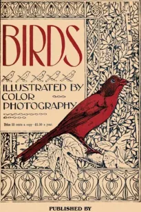 Birds, Illustrated by Color Photography, Vol. 1, No. 5
May, 1897