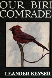 Our Bird Comrades