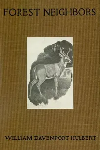 Forest Neighbors: Life Stories of Wild Animals