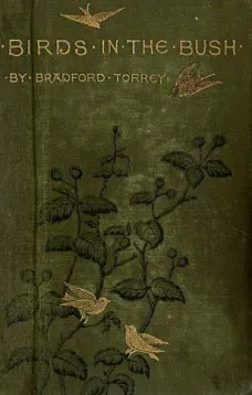Birds in the Bush