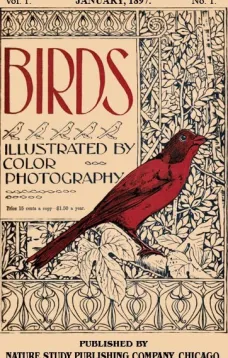Birds, Illustrated by Color Photography, Vol. 1, No. 1
January, 1897