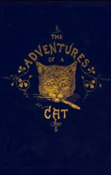The Adventures of a Cat, and a Fine Cat Too!