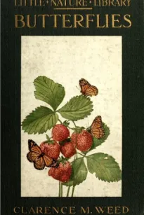 Butterflies Worth Knowing