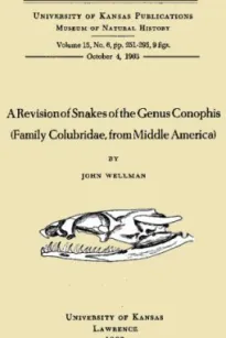 A Revision of Snakes of the Genus Conophis (Family Colubridae, from Middle America)