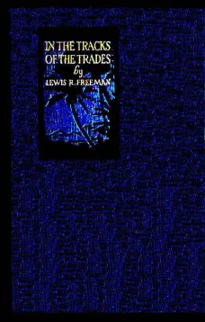 In the Track of the Trades
The Account of a Fourteen Thousand Mile Yachting Cruise to the Hawaiis, Marquesas, Societies, Samoas and Fijis