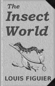 The Insect World
Being a Popular Account of the Orders of Insects