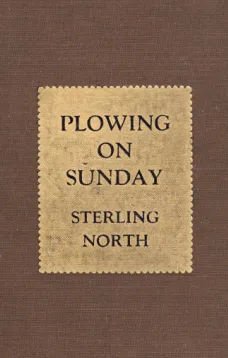 Plowing On Sunday