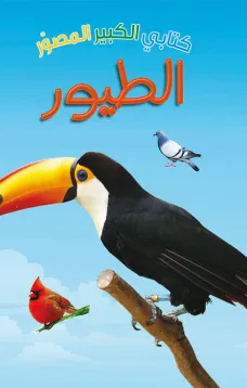 كتابي الكبير المصور الطيور