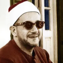 محمد المدني
