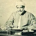محمد المراغي