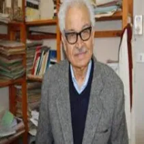 محمد عبد الفتاح