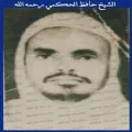 حافظ الحكمي