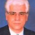 رفيق المصري