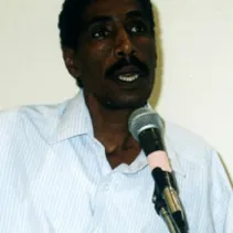 محمد علي الدنقلي