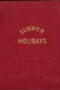 The Summer Holidays: A Story for Children