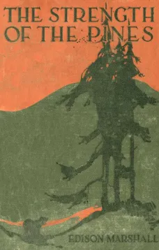 The Strength of the Pines