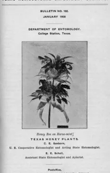 Texas Honey Plants
