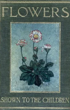 Flowers, Shown to the Children
