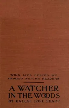 A Watcher in The Woods