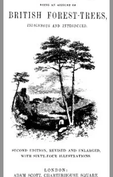 Woodland Gleanings
Being an Account of British Forest-Trees