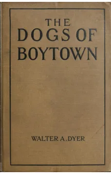 The Dogs of Boytown