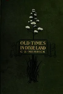 Old Times in Dixie Land
A Southern Matron's Memories