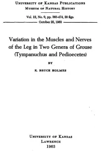 Variation in the Muscles and Nerves of the Leg in Two Genera of Grouse (Tympanuchus and Pedioecetes)