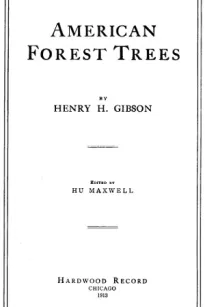 American Forest Trees